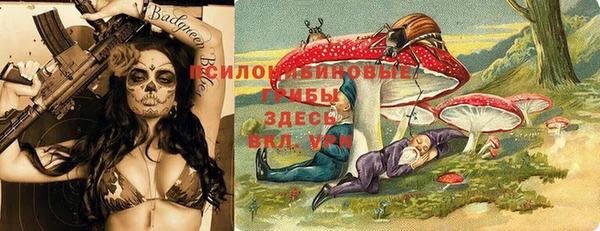 мдма Богородицк