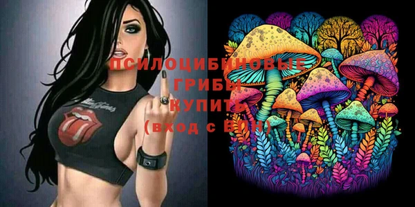 мдма Богородицк
