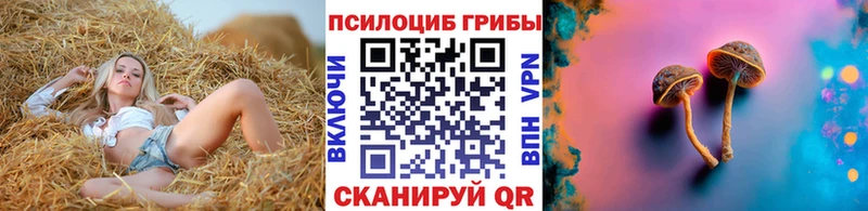 Галлюциногенные грибы мицелий  Купить где  Малоархангельск 