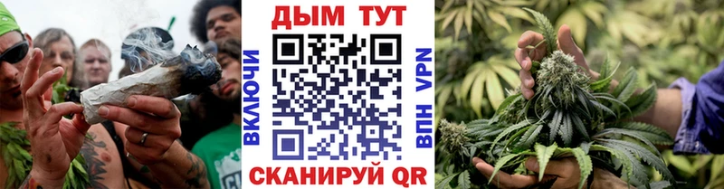 Шишки марихуана MAZAR  Купить где  Малоархангельск 